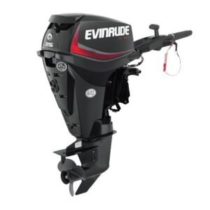 Evinrude 25HP Outboard For Sale | E25DGTE | 15 in. Shaft