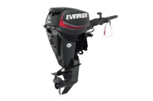 Buy 30HP Evinrude Outboard Motor