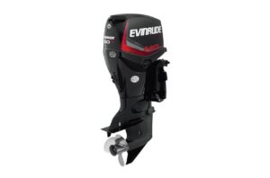 2020 Evinrude 60 HP For Sale